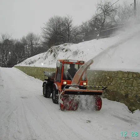 مانيس فندق 3*