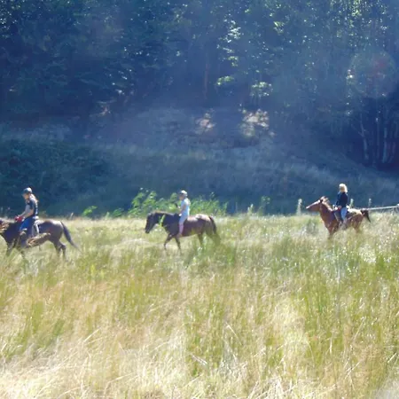 Отель Manis Нимфайон