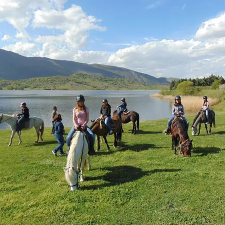 Manis Нимфайон