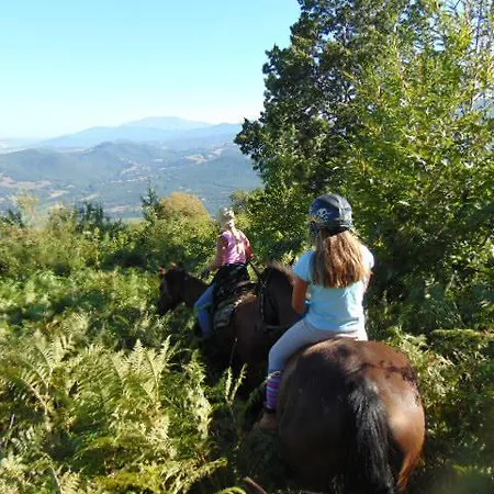 مانيس Nimfaíon