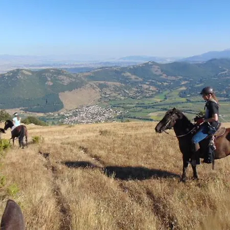 Отель Manis Нимфайон