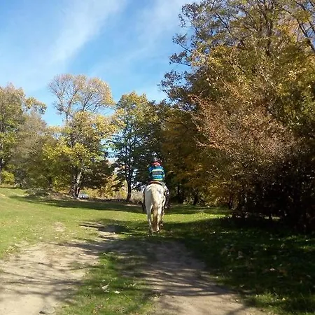 فندق مانيس Nimfaíon