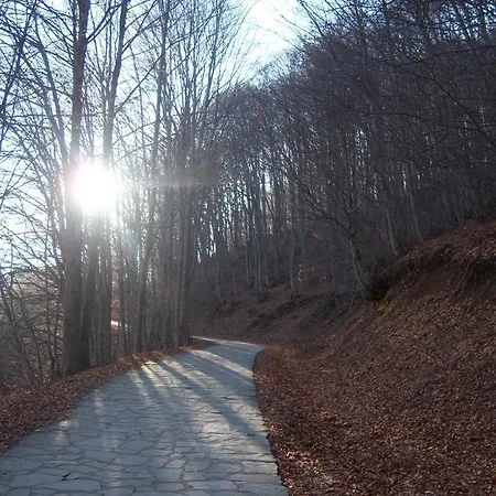 فندق مانيس Nimfaíon